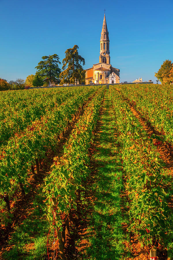 France, Nouvelle-aquitaine, Neac, Gironde, Bordeaux Region, Vineyard And Church #2 Digital Art by Olimpio Fantuz