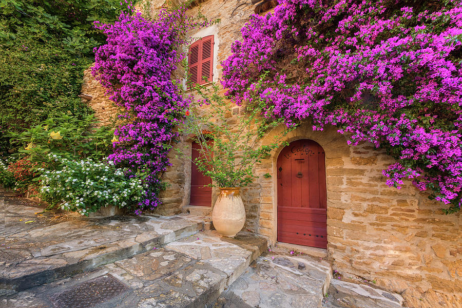 France, Provence-alpes-cote Dazur, Bormes-les-mimosas, Cote Dazur, French Riviera, Var, House Entrance With Blooming Bougainvillea In An Alley #2 Digital Art by Cornelia Drr