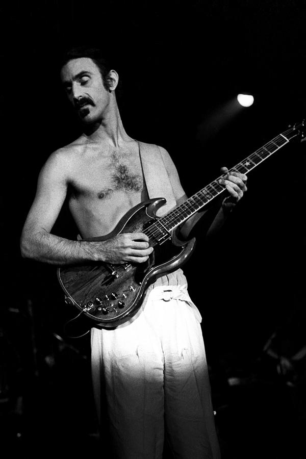 Frank Zappa Live #2 Photograph by Larry Hulst