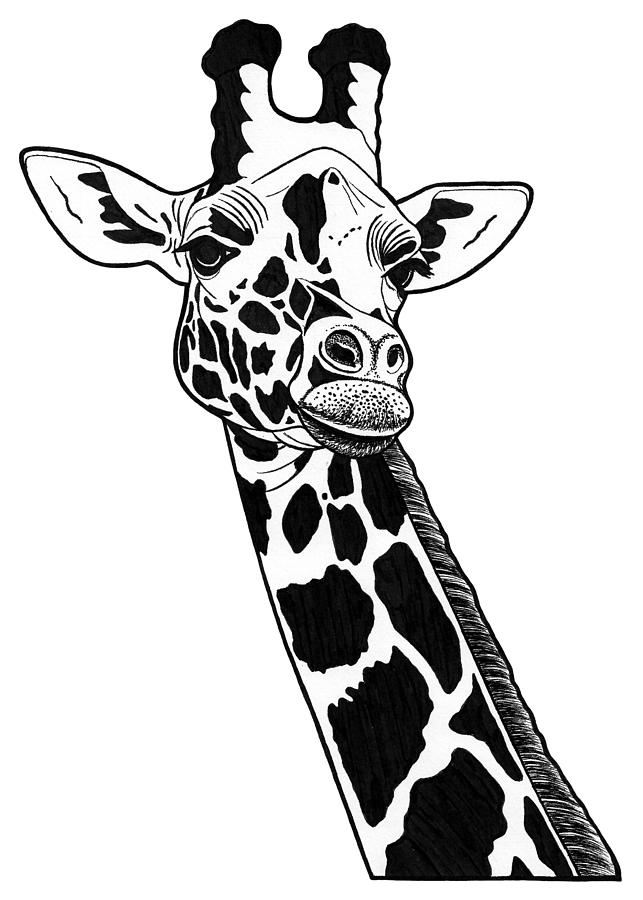 Giraffe - ink illustration #2 Drawing by Loren Dowding