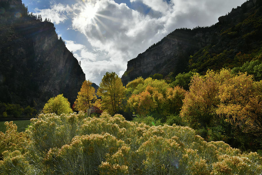 Glenwood Canyon Fall Colors #2 Photograph by Ray Mathis