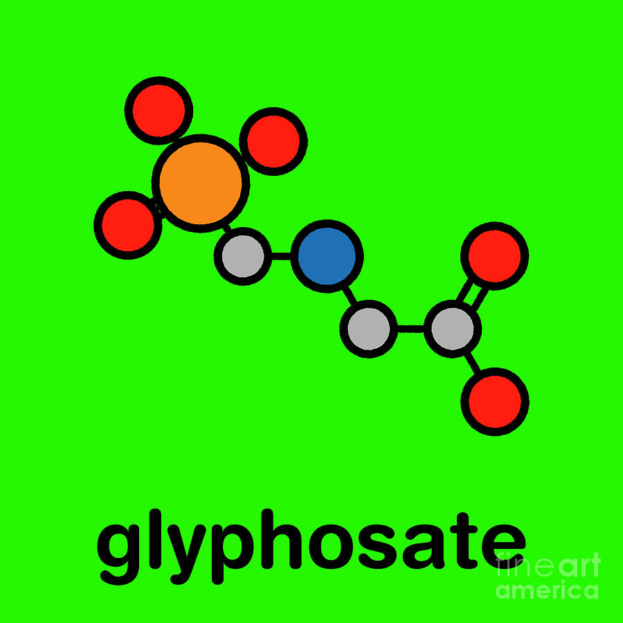 Glyphosate Herbicide Molecule Photograph By Molekuul/science Photo ...