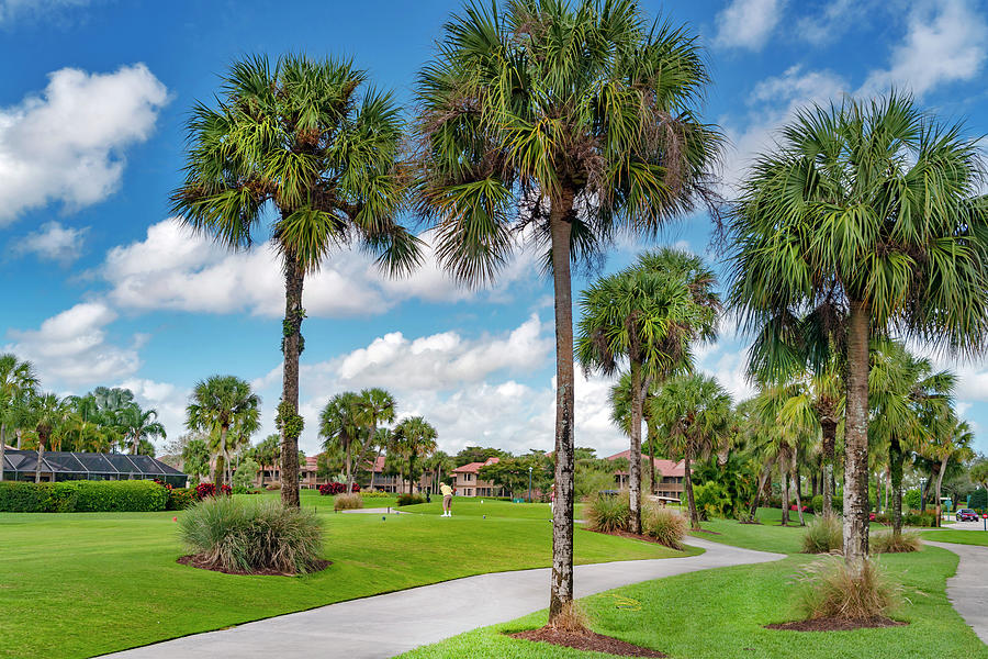 Golf Course, Boca Raton, Florida #2 Digital Art by Laura Zeid