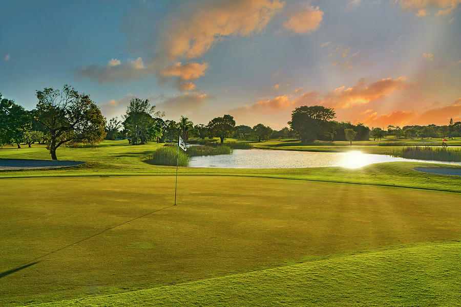 Golf Course In Boca Raton Florida #2 Digital Art by Laura Zeid