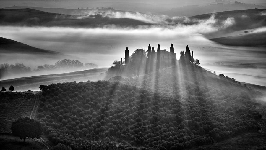 Tree Photograph - Good Morning Tuscany #2 by Martin Froyda