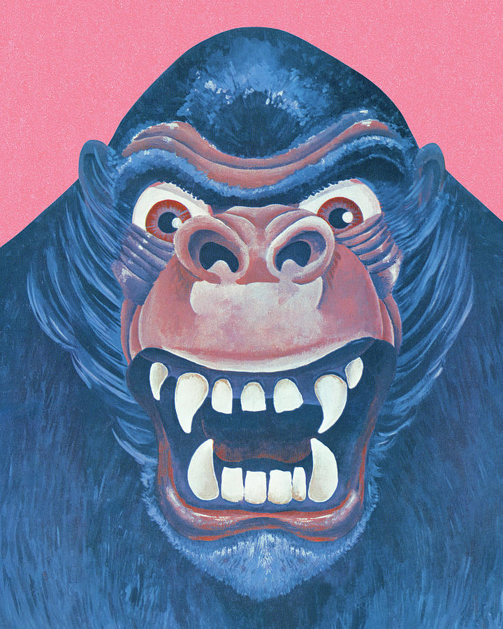 Vintage Drawing - Gorilla #2 by CSA Images