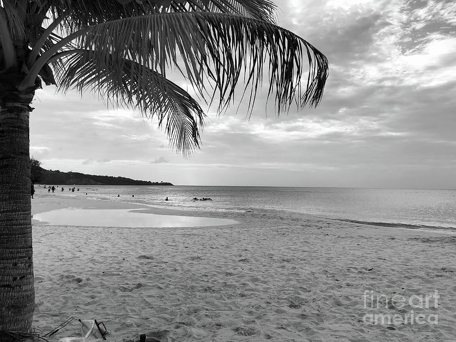 Grand Anse Beach Photograph by Laura Forde