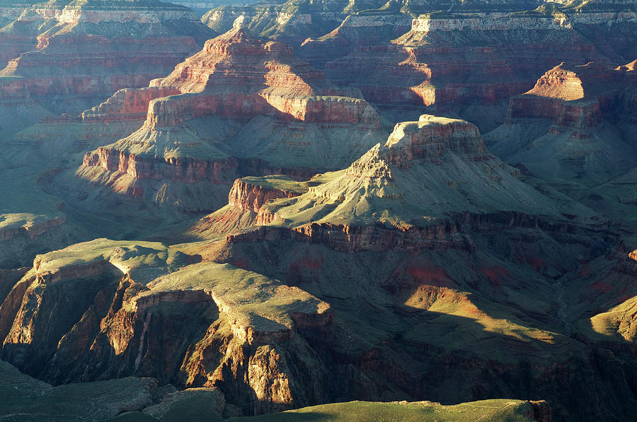 Grand Canyon Beauty #2 Photograph by Mitch Diamond