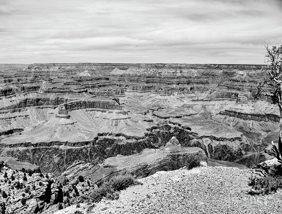 Grand Canyon Black White Photograph by Chuck Kuhn - Fine Art America