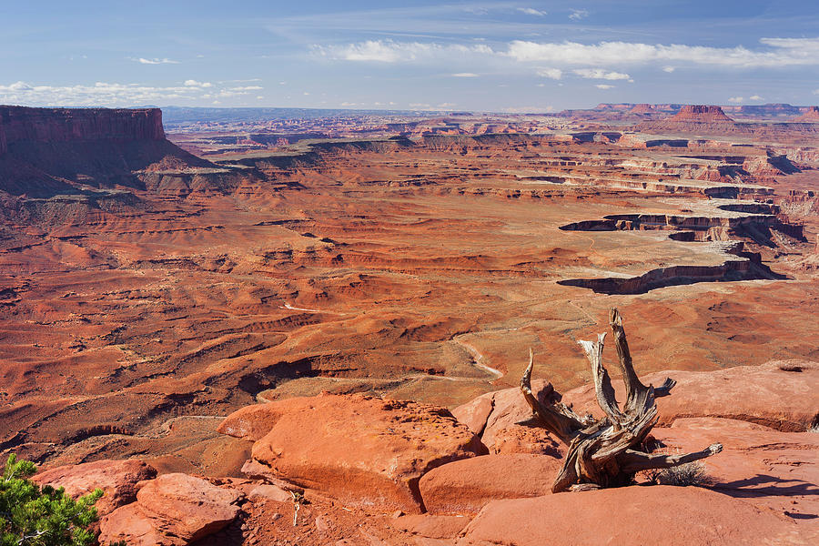 Grand View Point, Green River Overlook, Island In The Sky, Canyonlands National Park, Utah, Usa #2 Photograph by Rainer Mirau