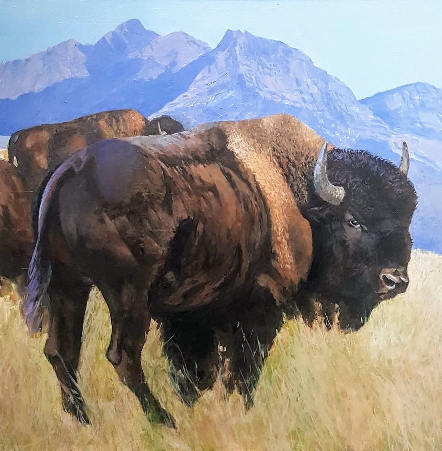 Great American Bison #2 Painting by Jessica Anne Thomas