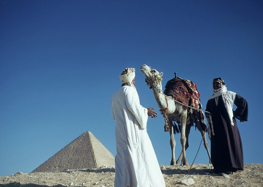 Great Pyramid Of Giza #2 Photograph by Michael Ochs Archives