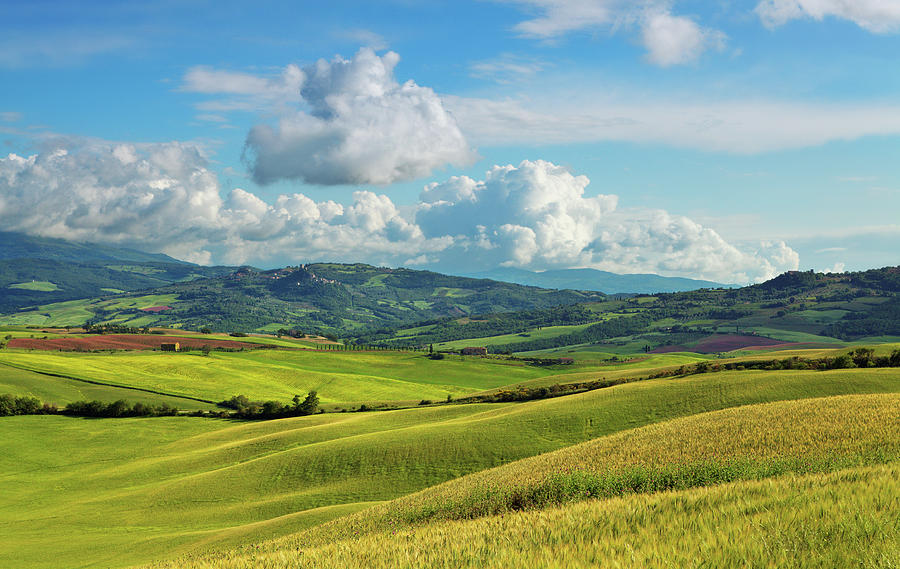Green Hills Of Tuscany #2 Photograph by Mammuth