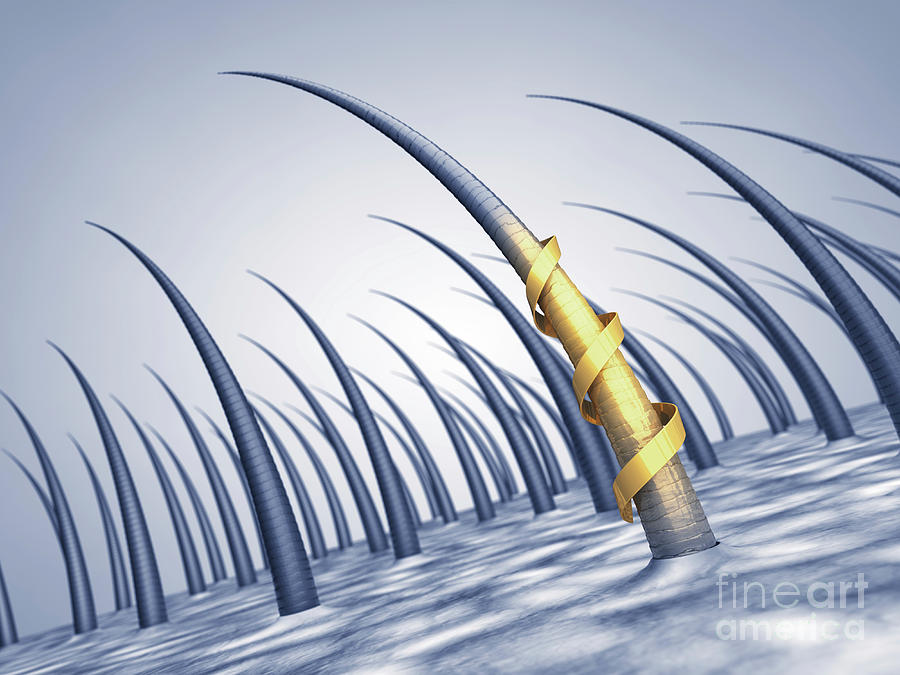 3d Photograph - Hair Care by Nobeastsofierce/science Photo Library 3d Photograph - Hair Care by Nobeastsofierce/science Photo Library