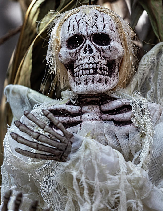 Halloween Decoration - Skeleton #2 Photograph by Robert Ullmann