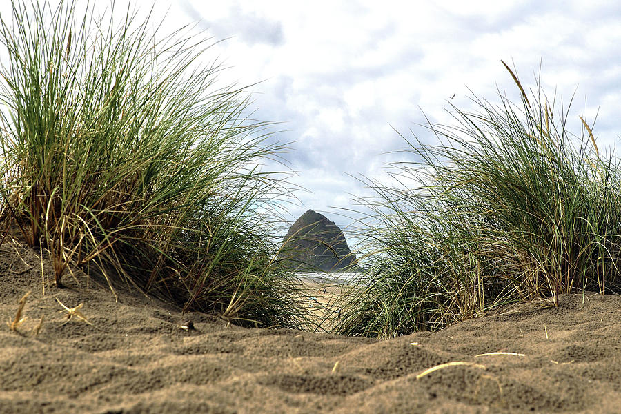 Haystack Rock #2 Photograph by Mitch Cat