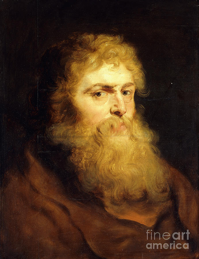 Head Of A Bearded Man Painting by Peter Paul Rubens