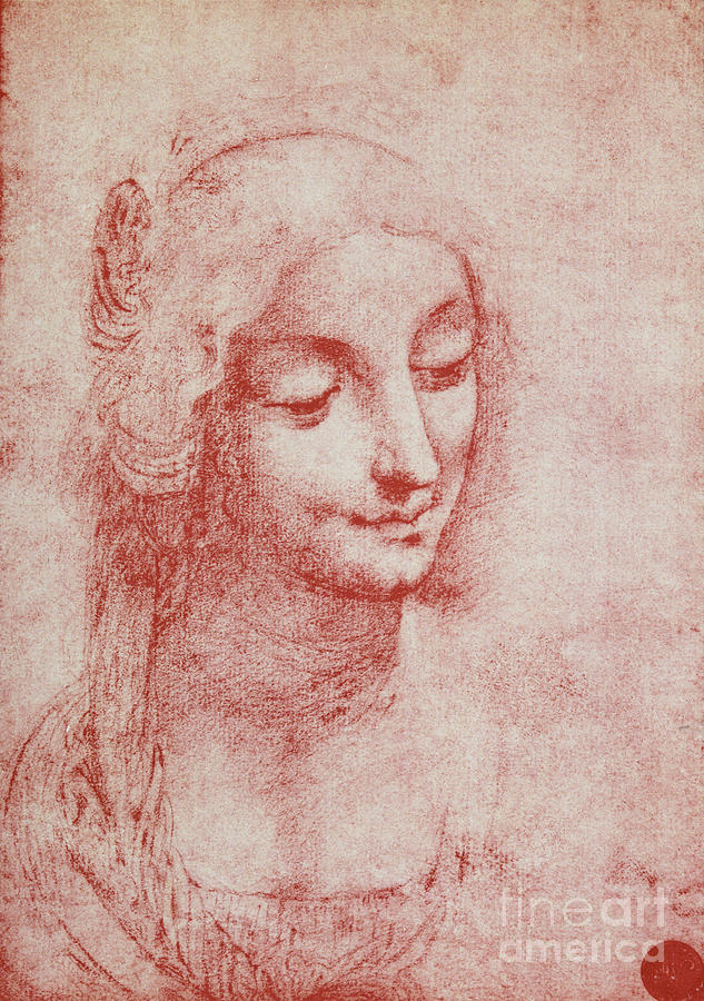 Head Of A Woman Drawing by Leonardo Da Vinci