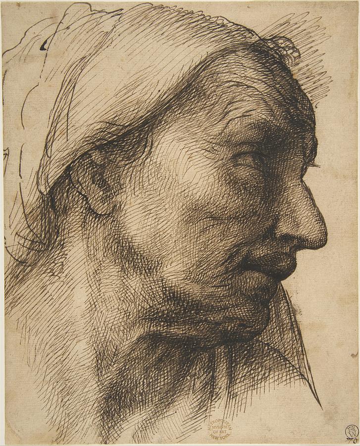 Head Of An Old Woman Drawing by Sebastiano Del Piombo - Fine Art America