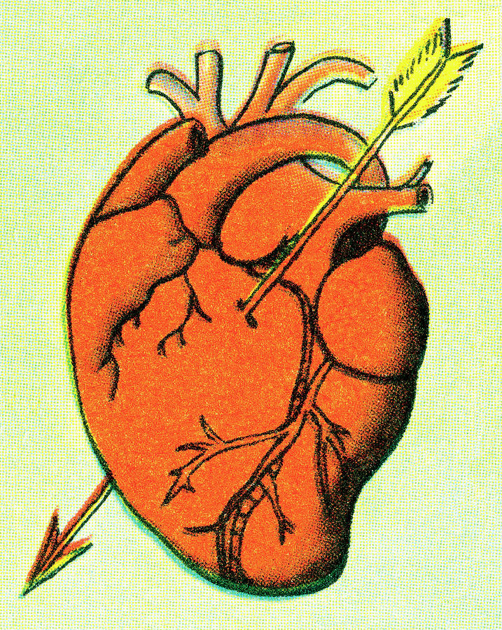 Vintage Drawing - Heart #2 by CSA Images