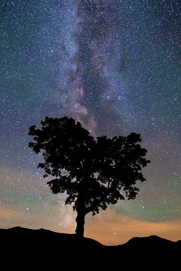 Mountain Photograph - Heart Tree Milky Way #2 by White Mountain Images