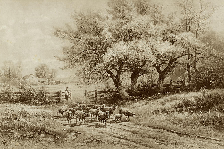 Cow Painting - Herding Sheep #2 by Carl Weber