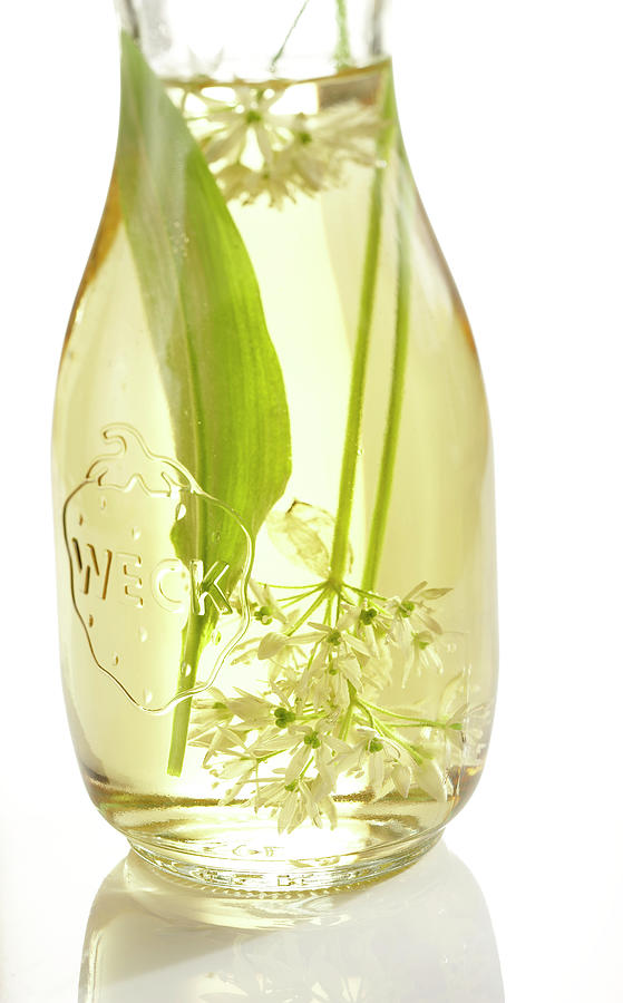 Homemade Wild Garlic Vinegar Photograph by Teubner Foodfoto Fine Art
