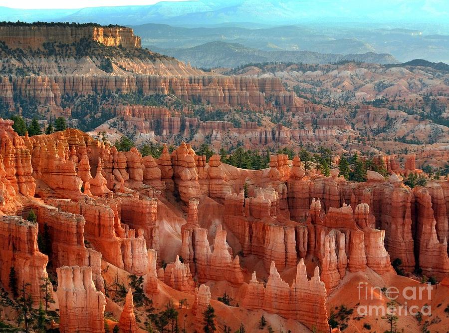 Hoodoos Bryce Canyon  #2  by Chuck Kuhn