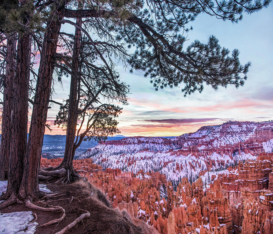 Hoodoos In Winter, Bryce Canyon National Park, Utah #2 Photograph by Tim Fitzharris
