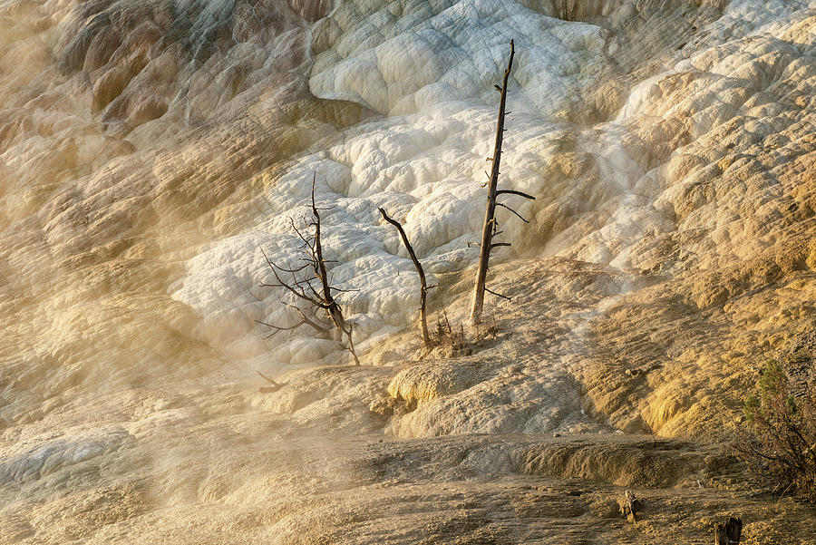 Hot Spring, Yellowstone Np, Wy #2 Digital Art by Heeb Photos