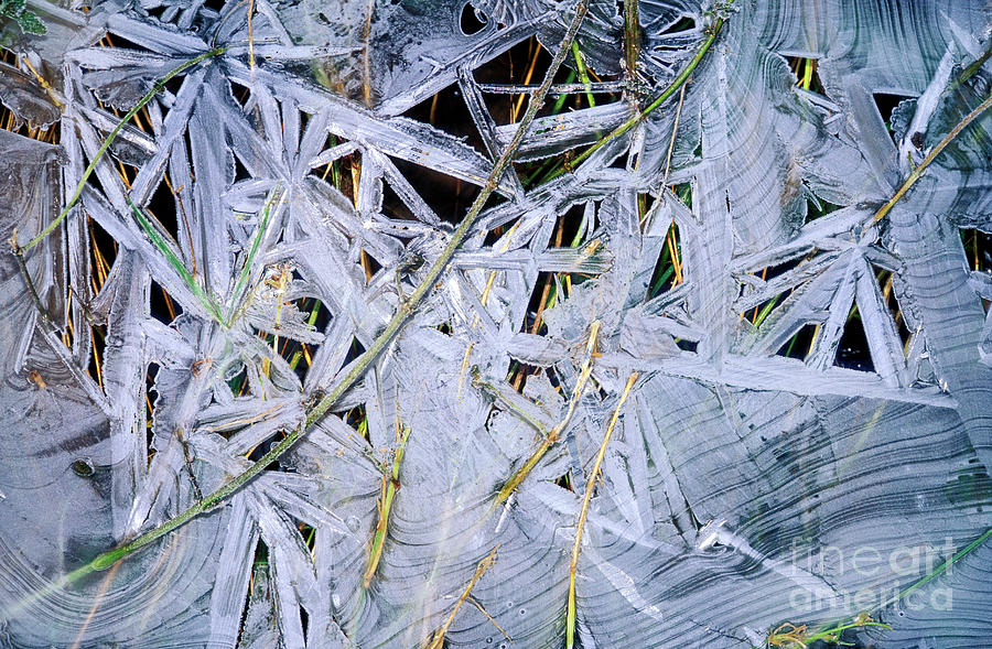 Ice Crystals #2 Photograph by Dr Keith Wheeler/science Photo Library