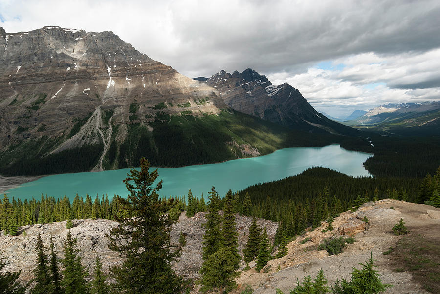 Icefields Parkway, Bow Pass, Peyto Lake #2 Photograph by John Elk Iii
