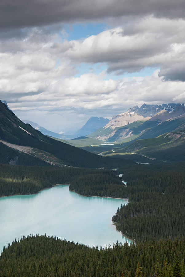 Icefields Pkwy, Peyto Lake & Mistaya Photograph by John Elk Iii - Fine ...