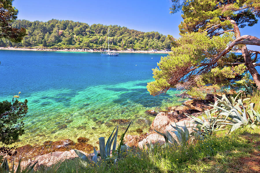 Idyllic turquoise stone beach in Cavtat #2 Photograph by Brch Photography