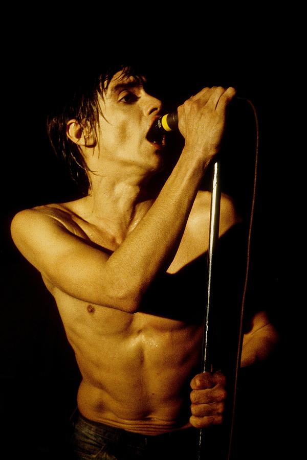 Music Photograph - Iggy Pop Live #2 by Larry Hulst