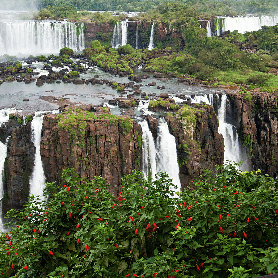 Iguazu Falls, Argentina, Brazil #2 by Original Photography