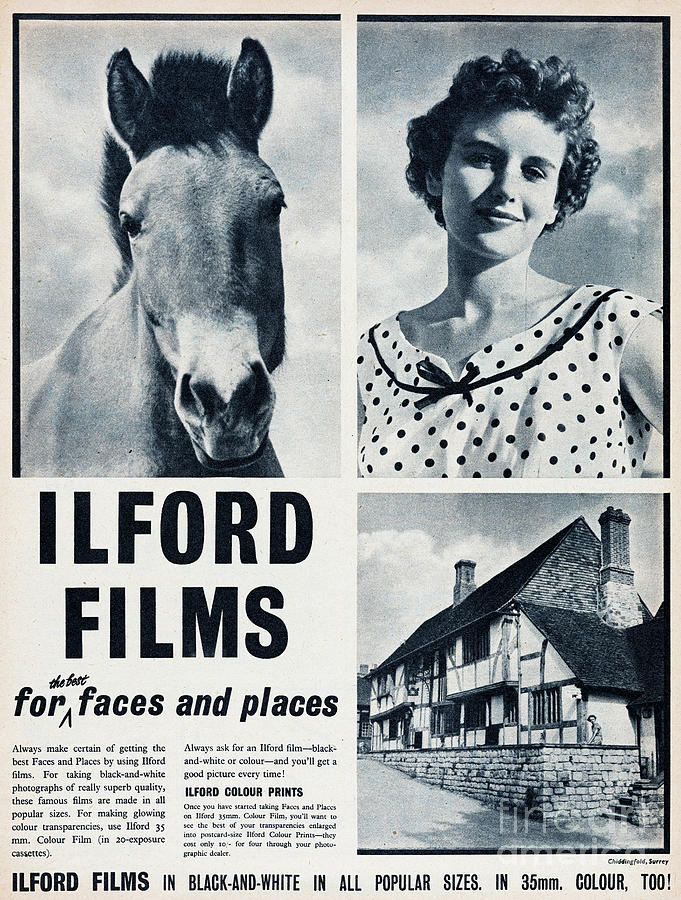 Ilford Films #2 Photograph by Picture Post