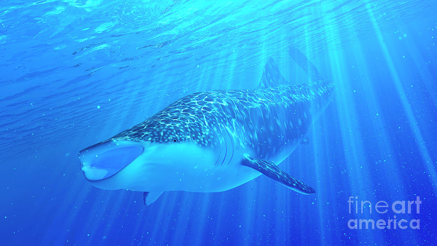 Nature Photograph - Illustration Of A Whale Shark #2 by Sebastian Kaulitzki/science Photo Library