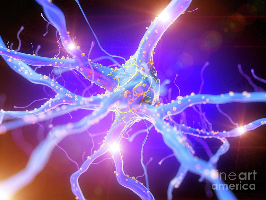 Illustration Of An Active Nerve Cell #2 Photograph by Sebastian Kaulitzki/science Photo Library
