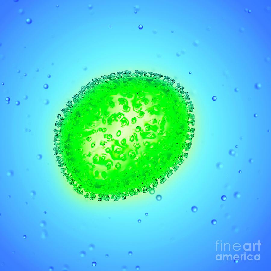 Illustration Of An Influenza Virus #2 Photograph by Sebastian Kaulitzki/science Photo Library