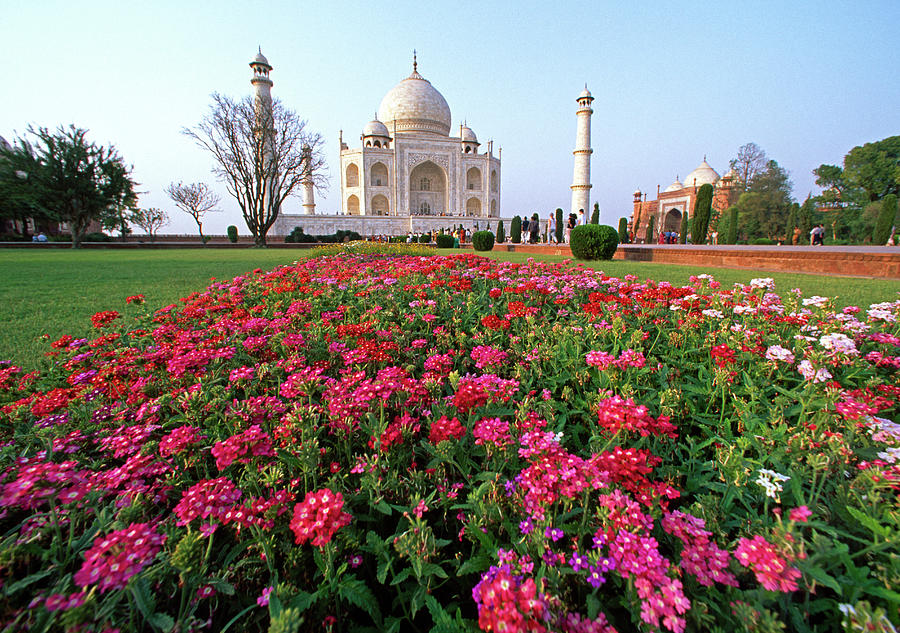India, Agra, Taj Mahal #2 Digital Art by Stefano Amantini