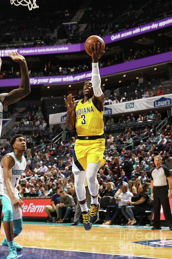 Indiana Pacers Photograph - Indiana Pacers V Charlotte Hornets #2 by Brock Williams-smith