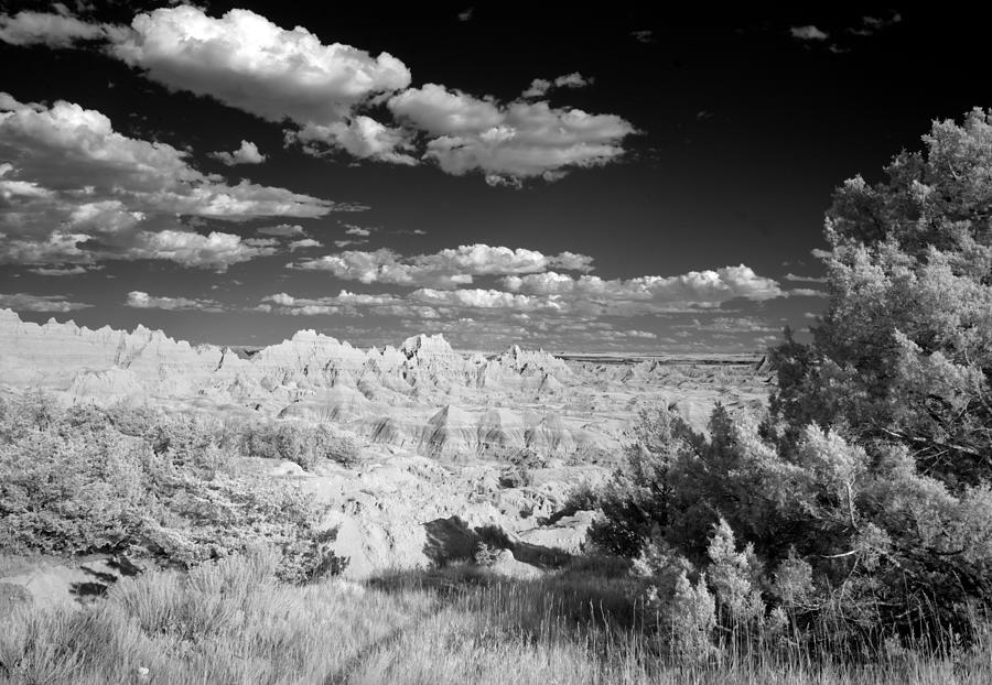 Infrared view of the Badlands. Badlands National Park, South Dakota #2 Painting by 