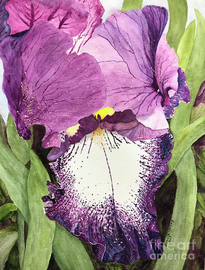Iris #2 Painting by Bonnie Young
