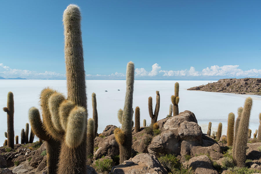 Isla Incahuasi, Andes, Bolivia #2 Digital Art by Heeb Photos
