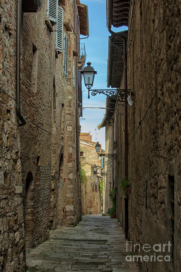  Street in Tuscany Photograph by Patricia Hofmeester