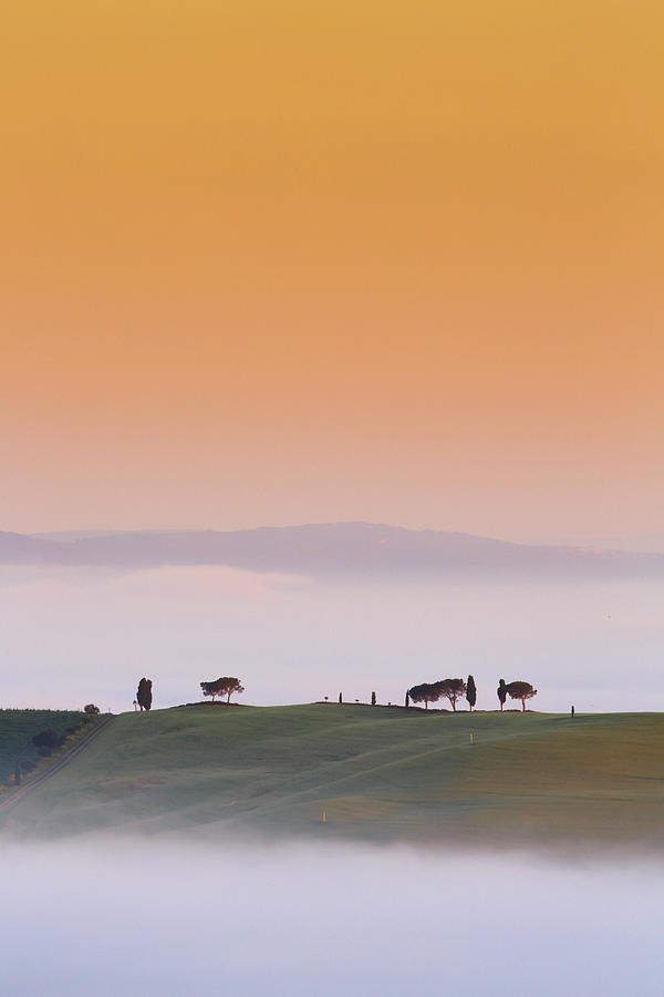 Italy, Tuscany, Siena District, Orcia Valley, Foggy Morning Near Montalcino #2 Digital Art by Maurizio Rellini