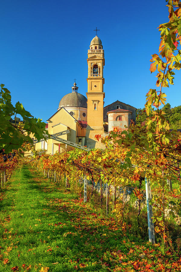 Italy, Veneto, Verona District, Valpolicella, Marano Di Valpolicella, Typical Landscape, Vineyards And Church #2 Digital Art by Olimpio Fantuz