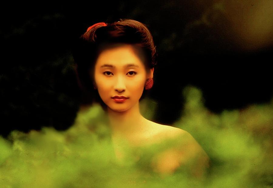 Japanese Beauty #2 Photograph by Don Wolf