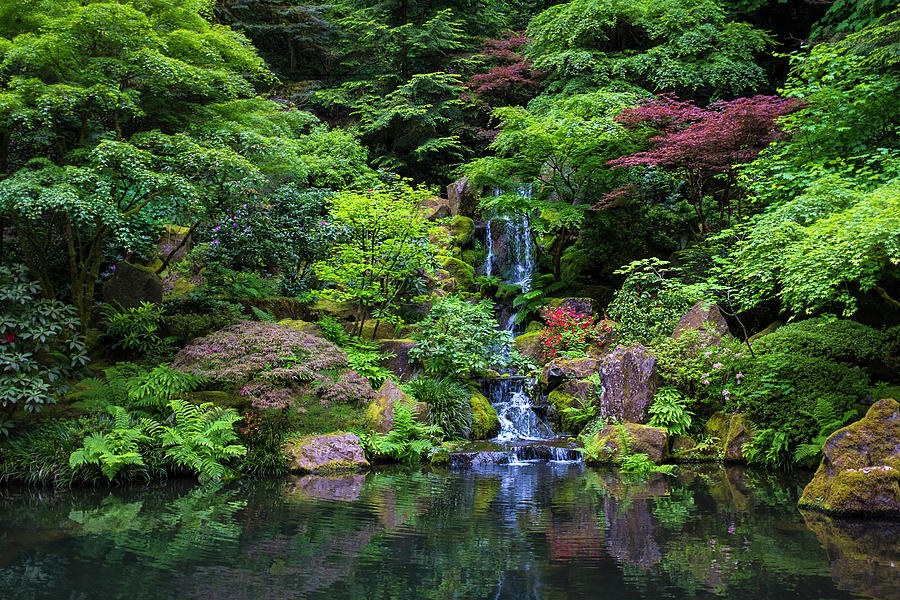 Nature Digital Art - Japanese Garden, Portland, Oregon, Usa #2 by Steve Prezant